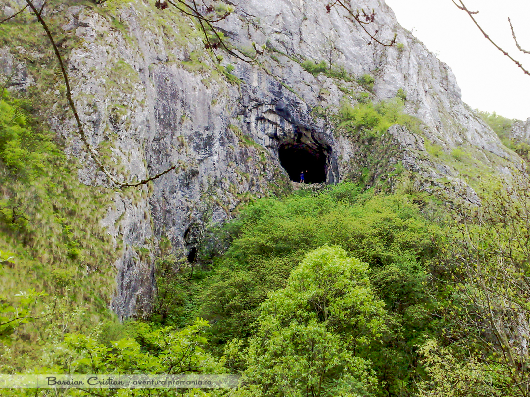 Cheile Turzii Panoramă