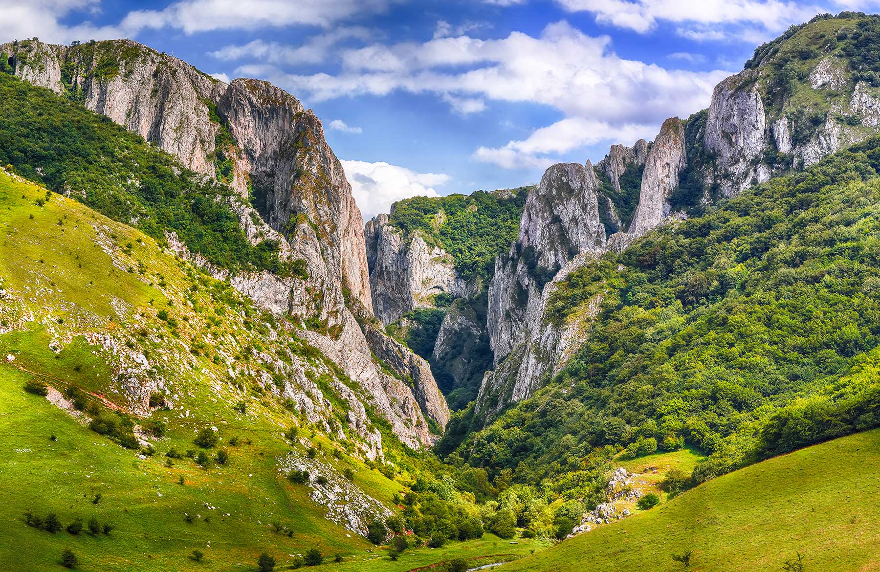 Cheile Turzii